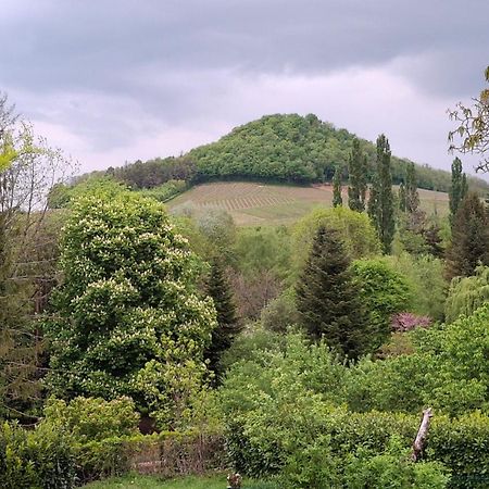Studio Dans Belle Maison Ancienne Et Jardin Ferme L'Etoile  Екстер'єр фото