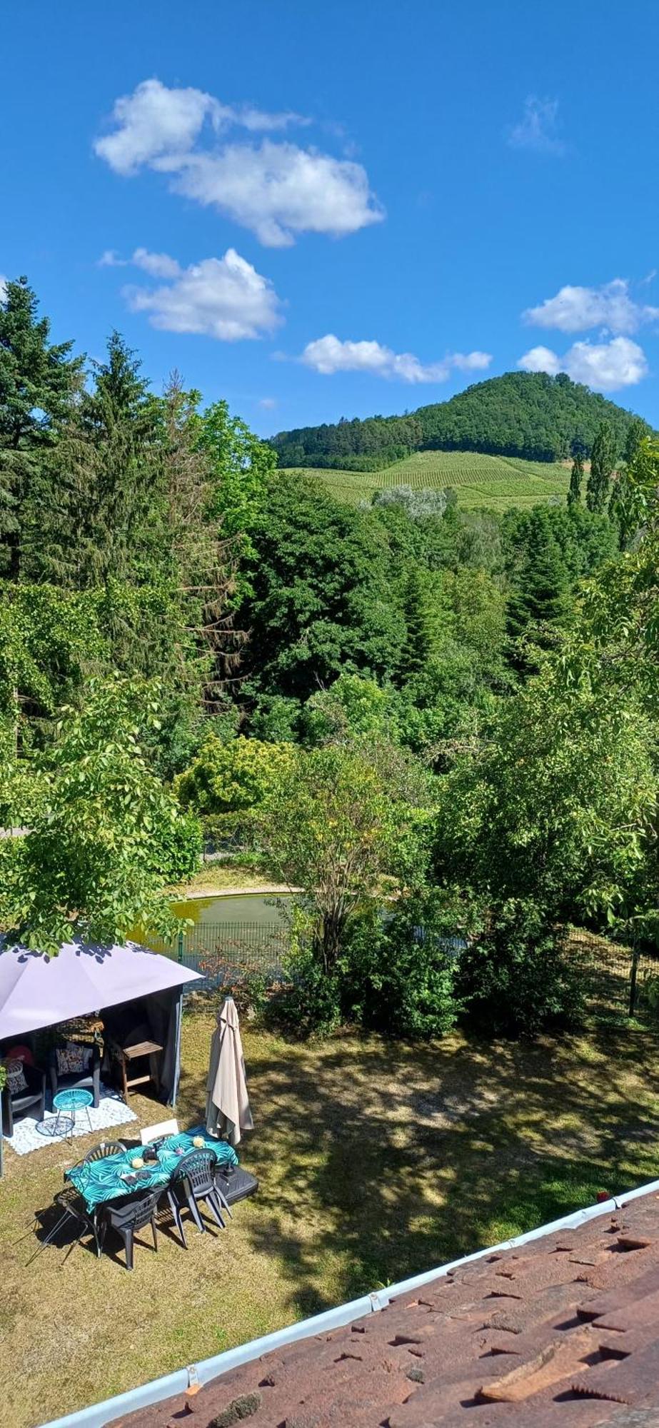 Studio Dans Belle Maison Ancienne Et Jardin Ferme L'Etoile  Екстер'єр фото