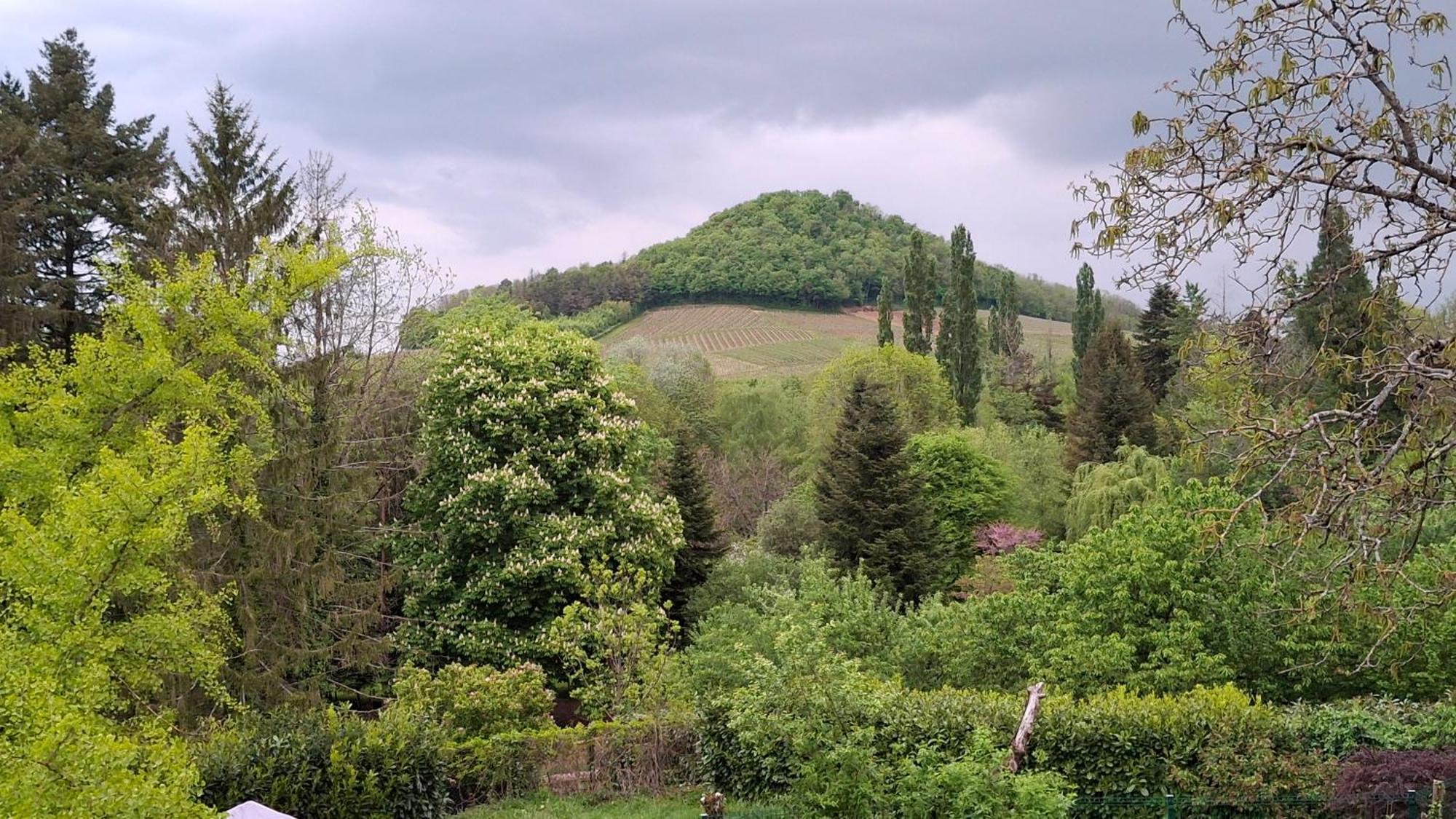 Studio Dans Belle Maison Ancienne Et Jardin Ferme L'Etoile  Екстер'єр фото